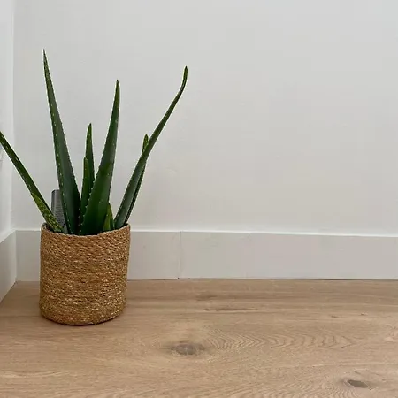 Apartment Mm Greenhouse / - Lille Tourcoing